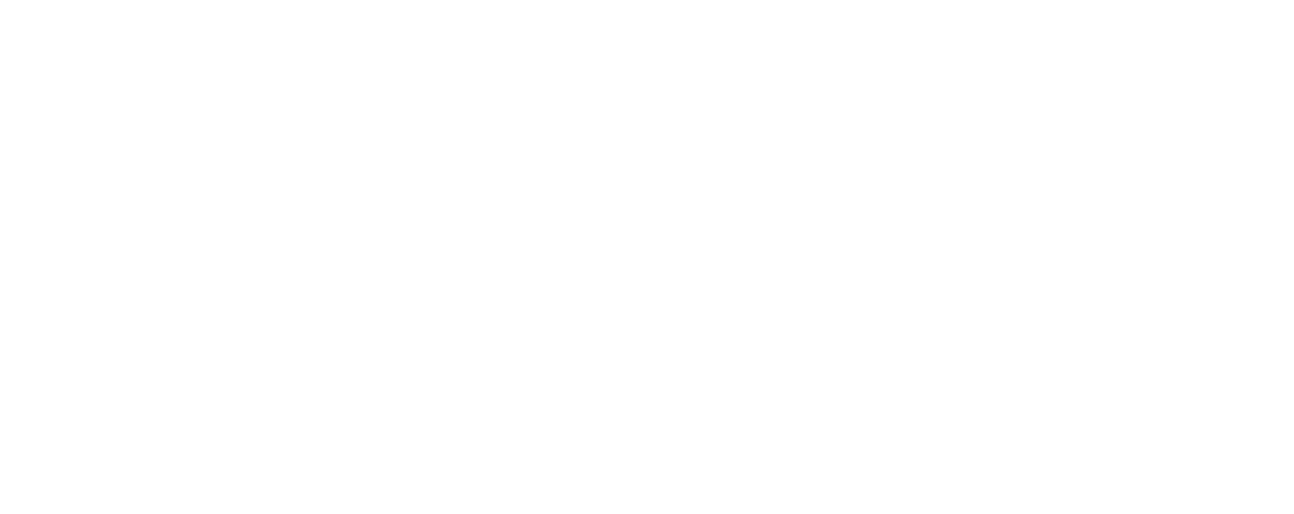 discostix logo